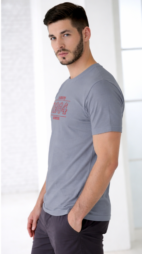 HAWKINS 1984 | STRANGER THINGS GRAPHIC PRINTED REGULAR FIT T-SHIRT